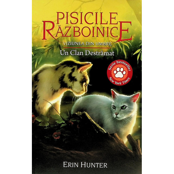 Pisicile razboinice, vol. XXXIII - Viziunea din umbre. Un Clan destramat