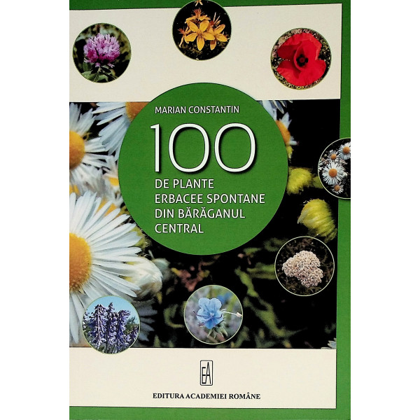 100 de plante erbacee spontane din Baraganul Central