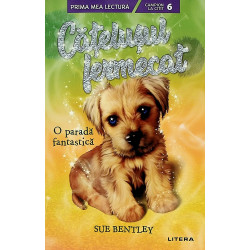 Catelusul pierdut. O parada...