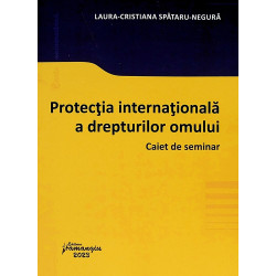 Protectia internationala a...