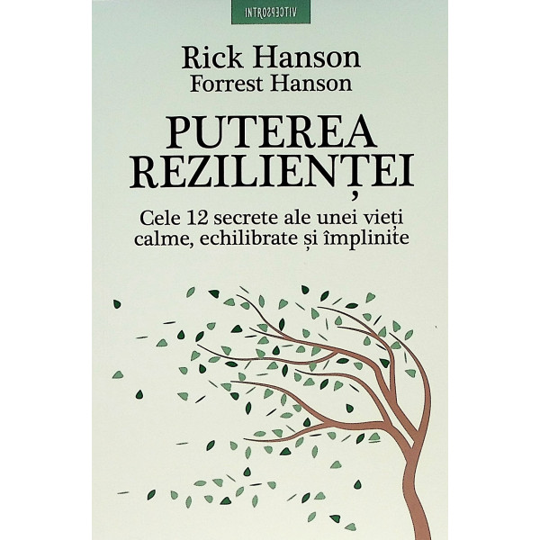 Puterea rezilientei. Cele 12 secrete ale unei vieti calme, echilibrate si implinite
