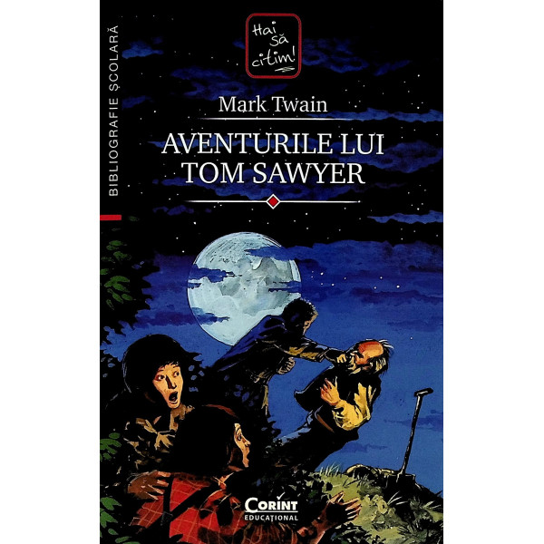 Aventurile lui Tom Sawyer