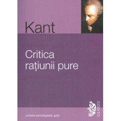Critica ratiunii pure