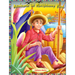 Aventurile lui Huckleberry...