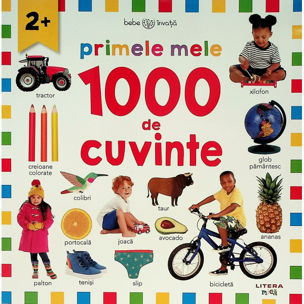 Primele mele 100 de cuvinte 2+