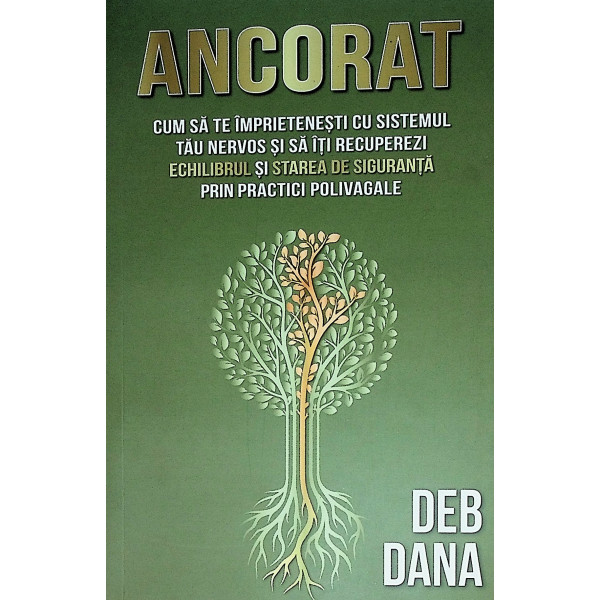 Ancorat - Cum sa te imprietenesti cu sistemul tau nervos si sa iti recuperezi echilibrul si starea de siguranta prin practici po
