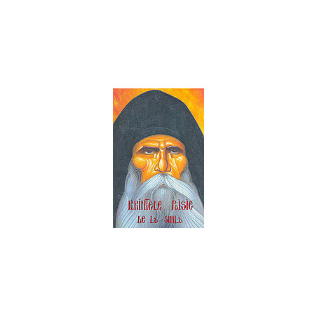 Parintele Paisie de la Sihla