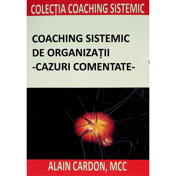 Coaching sistemic de organizatii - cazuri comentate