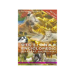 Dictionar enciclopedic...