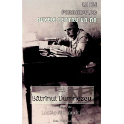 Nuvele pentru un an, vol. X...