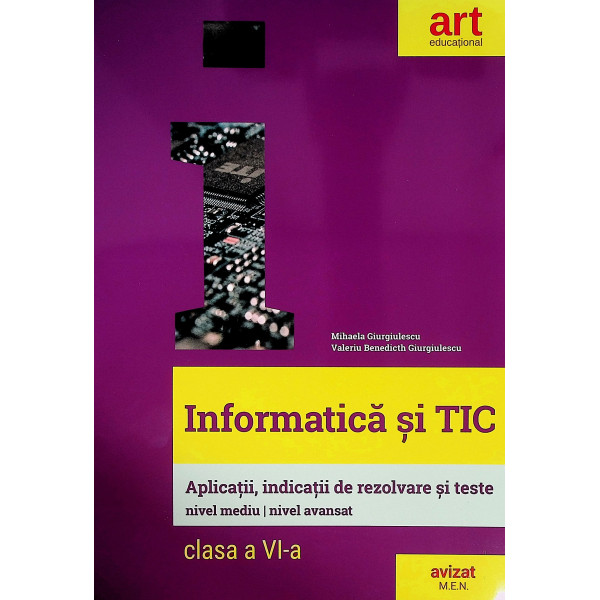 Informatica si Tic, clasa a VI-a