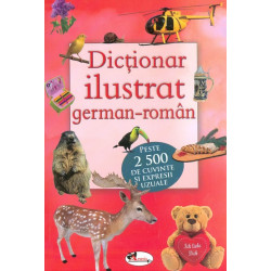 Dictionar ilustrat...