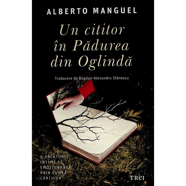 Un cititor in Padurea din Oglinda