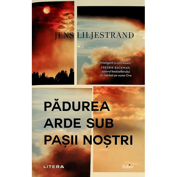 Padurea arde sub pasii nostri