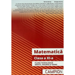 Matematica, clasa a XI-a