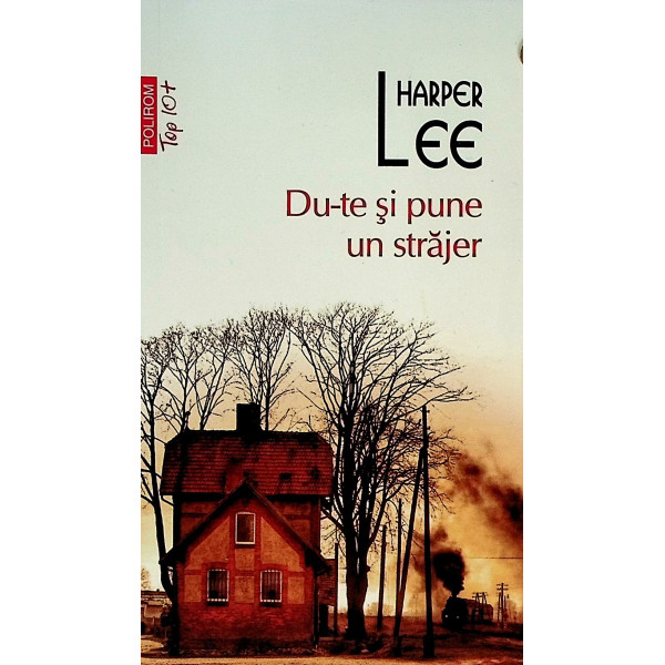 Du-te si pune un strajer