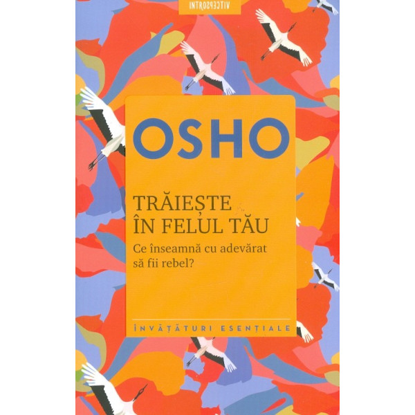 Traieste in felul tau - Ce inseamna cu adevarat sa fii rebel?