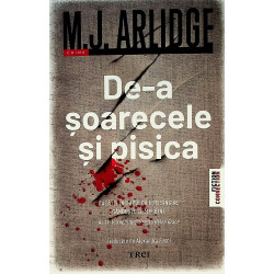 De-a soarecele si pisica