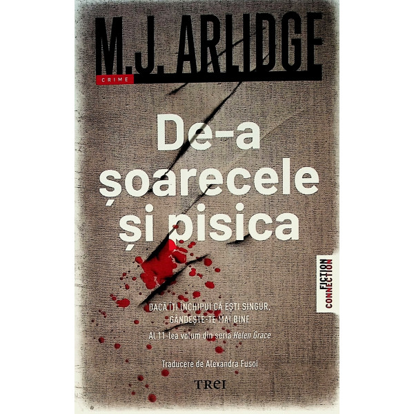 De-a soarecele si pisica