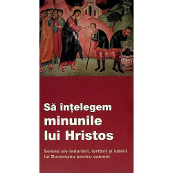 Sa intelegem minunile lui...