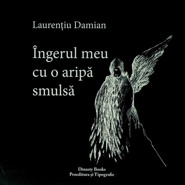 Ingerul meu cu o aripa smulsa