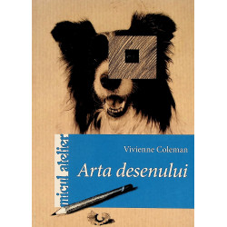 Arta desenului