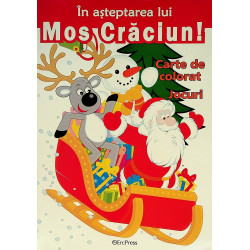 In asteptarea lui Mos...