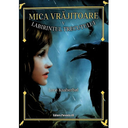 Mica vrajitoarea, vol. V -...