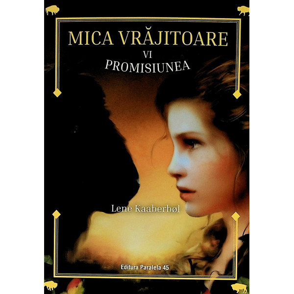 Mica vrajitoare, vol. VI - Promisiunea