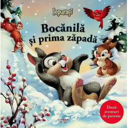 Bocanila si prima zapada