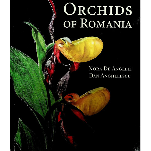 Orchids of Romania
