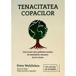 Tenacitatea copacilor