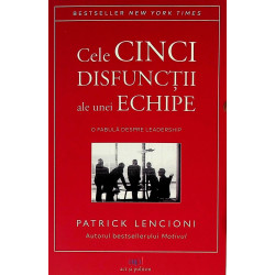 Cele cinci disfuncii ale...