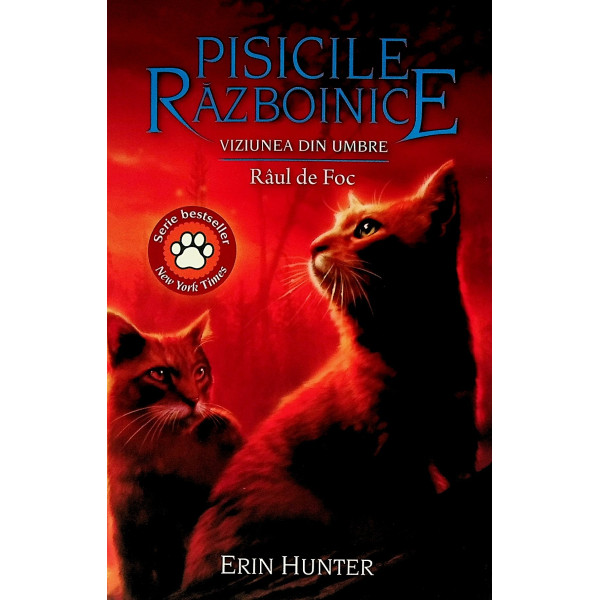 Pisicile razboinice, vol. XXXV - Viziunea din umbre. Raul de foc