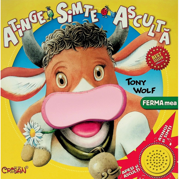 Atinge Simte Asculta