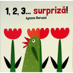 1,2,3...surpriza !