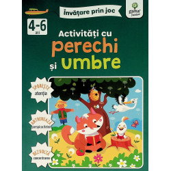 Activitati cu perechi si umbre