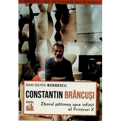 Constantin Brancusi Zborul...