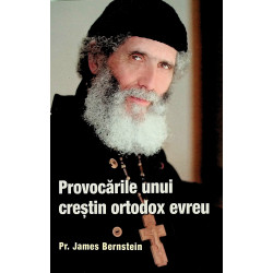 Provocarile unui crestin...