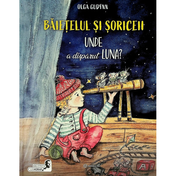 Baietelul si soriceii