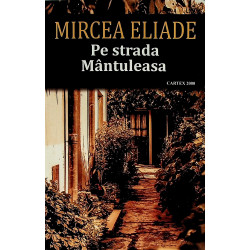 Pe strada Mantuleasa