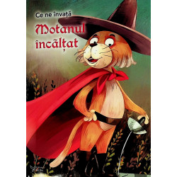 Ce ne invata Motanul invaltat