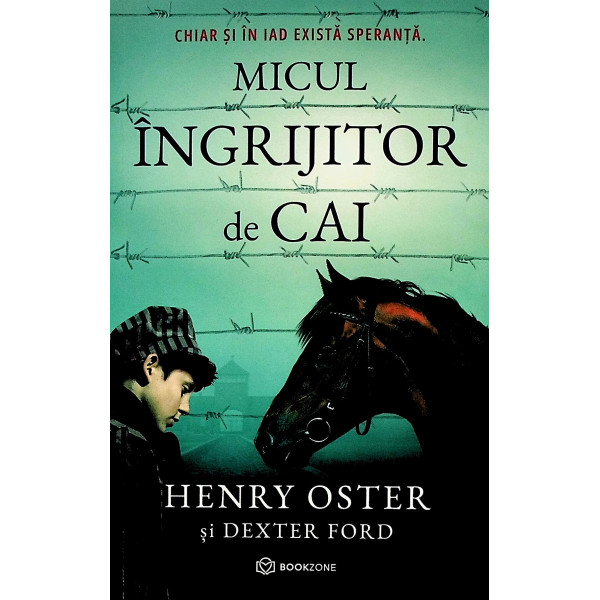 Micul ingrijitor de cai