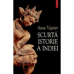 Scurta istorie a indiei