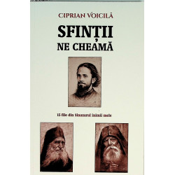 Sfintii ne cheama