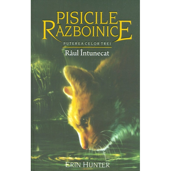 Pisicile razboinice, vol. XIV - Puterea celor trei. Raul intunecat