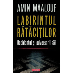 Labirintul ratacitilor....