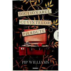 Dictionarul cuvintelor...