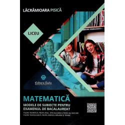 Matmatica. Modele de...