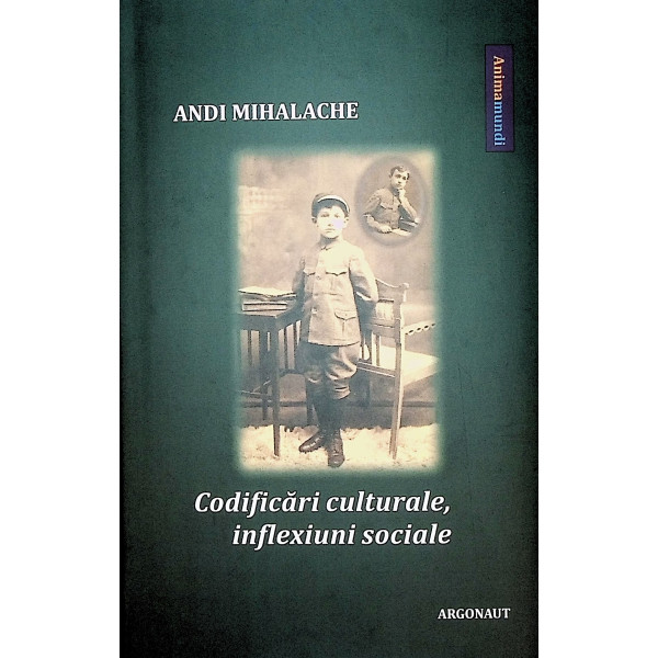 Codificari culturale, inflexiuni sociale